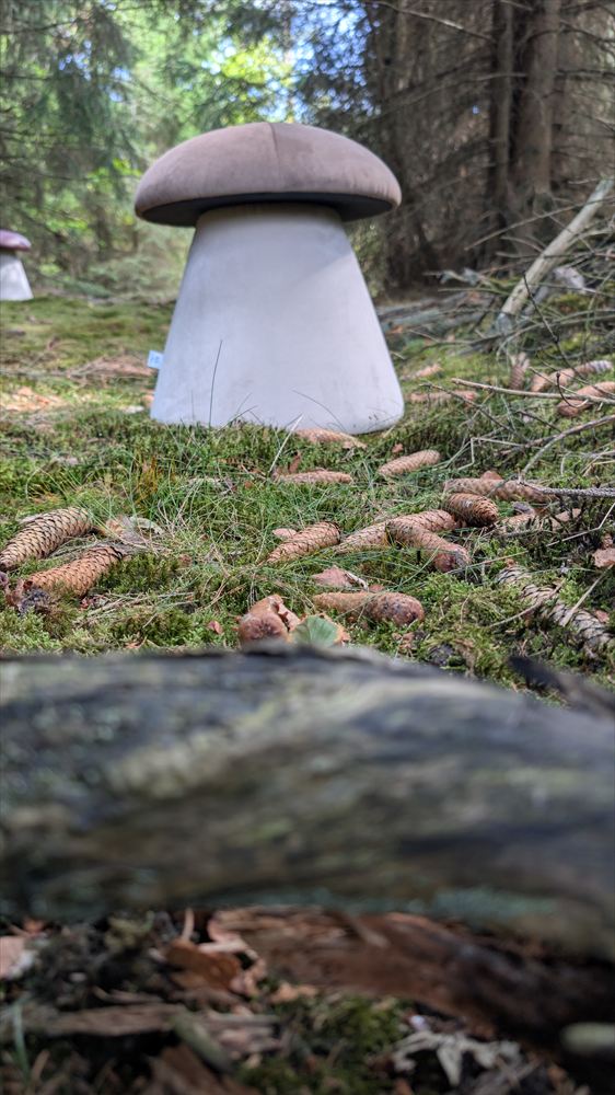Taupefarbener Pilzhocker im Wald mit einem zweiten Hocker im Hintergrund