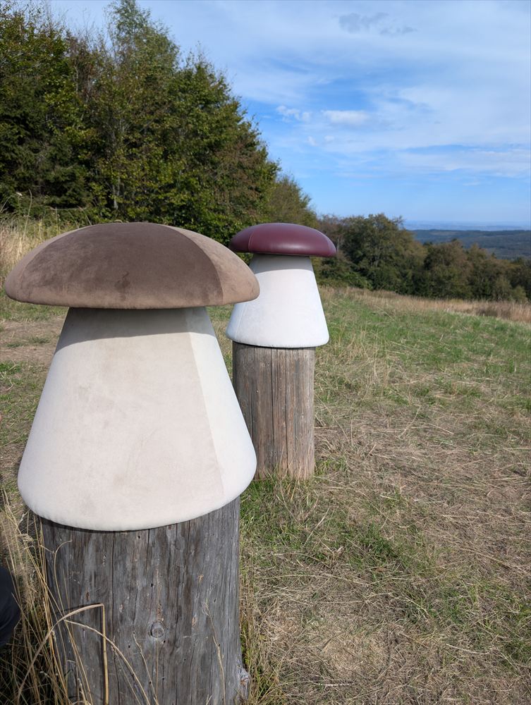 Zwei Pilzhocker in Taupe und Bordeaux mit Blick über den Soonwald