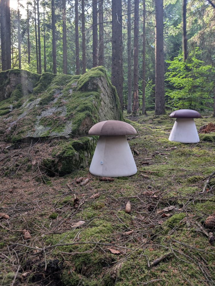 Zwei Pilzhocker zwischen moosbewachsenen Felsen im Wald